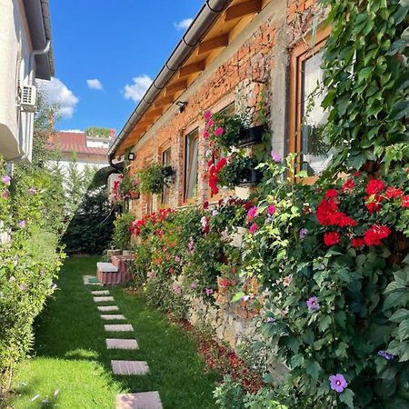 Flower House In The City Center! Priştine Dış mekan fotoğraf