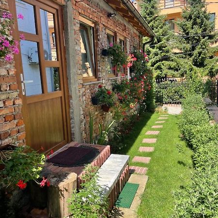 Flower House In The City Center! Priştine Dış mekan fotoğraf