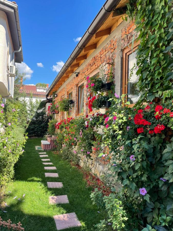 Flower House In The City Center! Priştine Dış mekan fotoğraf