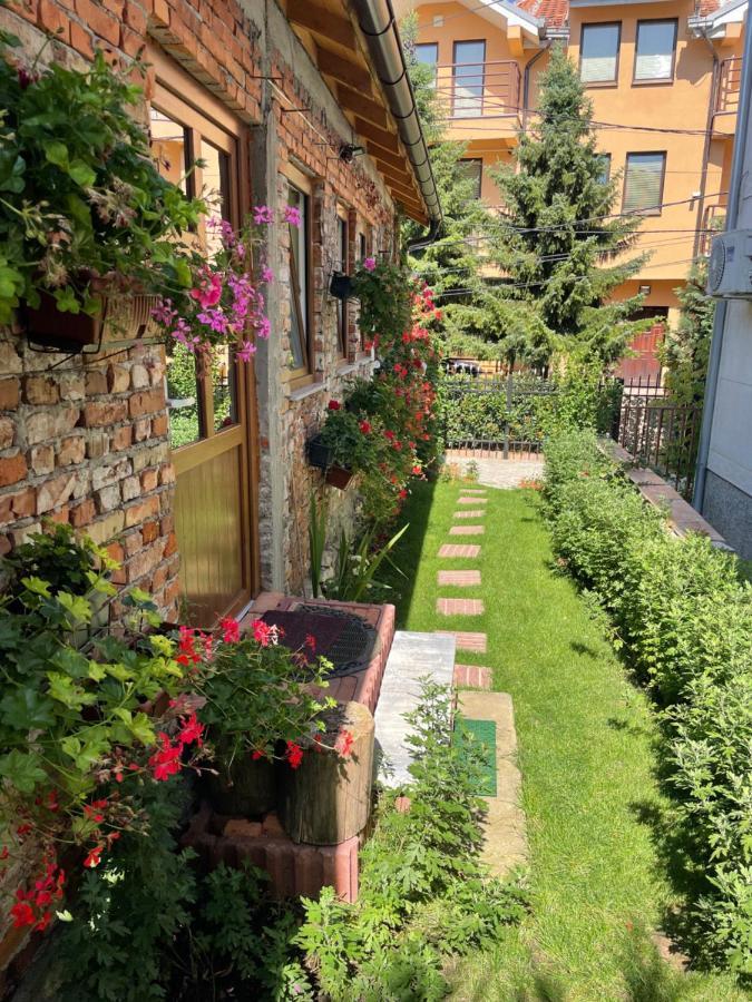 Flower House In The City Center! Priştine Dış mekan fotoğraf