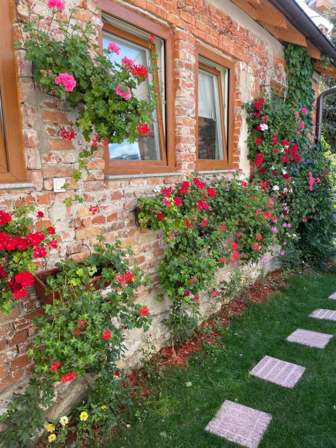 Flower House In The City Center! Priştine Dış mekan fotoğraf